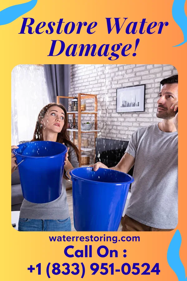 water restoration Peak Disaster Cleanup Team Allens Grove